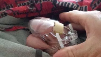 Let me train and get you locked in chastity,