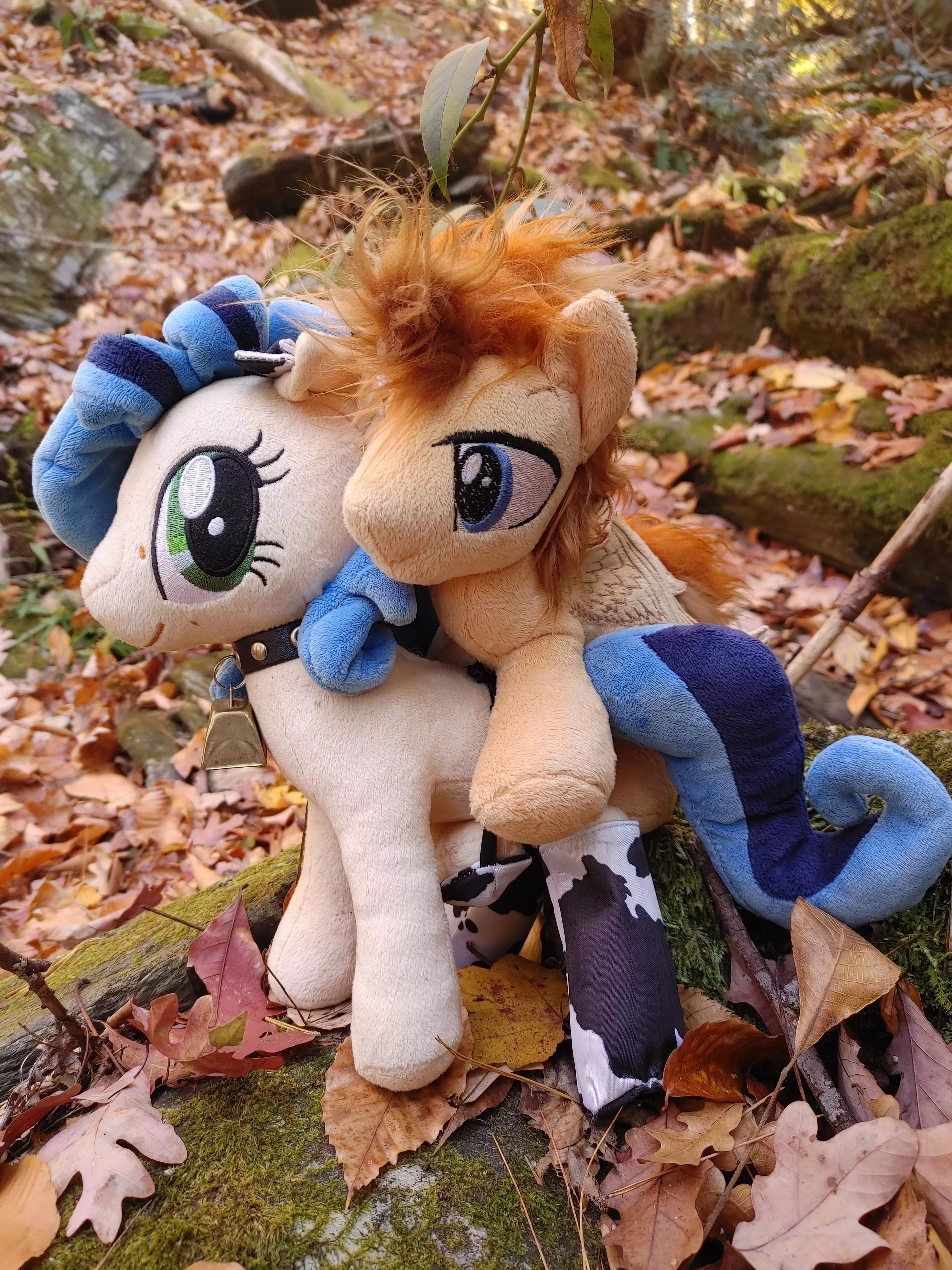 mlp