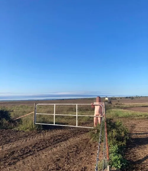 Opening the gate for the weekend