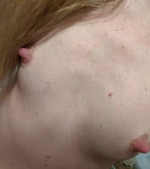 Would you still suck on these if you knew that sweet milk would come out?