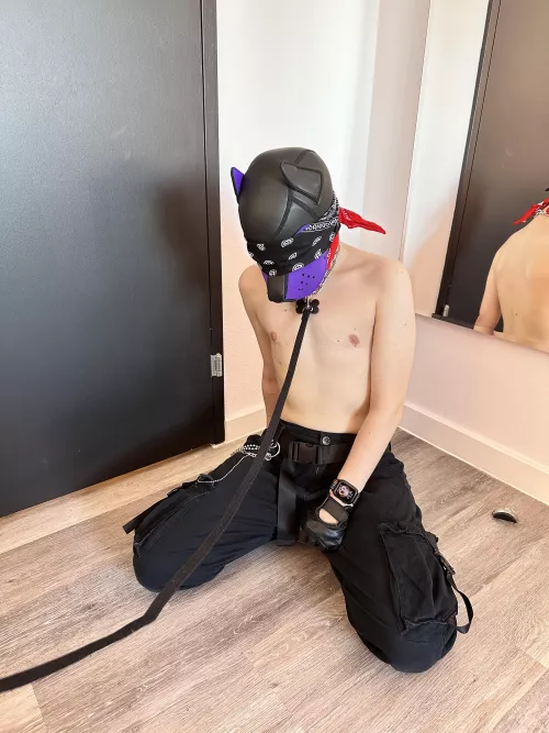 A tied shut and tied blind pup… maybe I can still get myself around if I sniff around