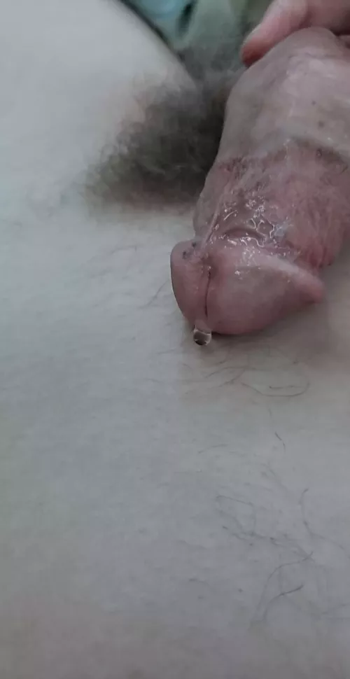 Big drop of precum 💧