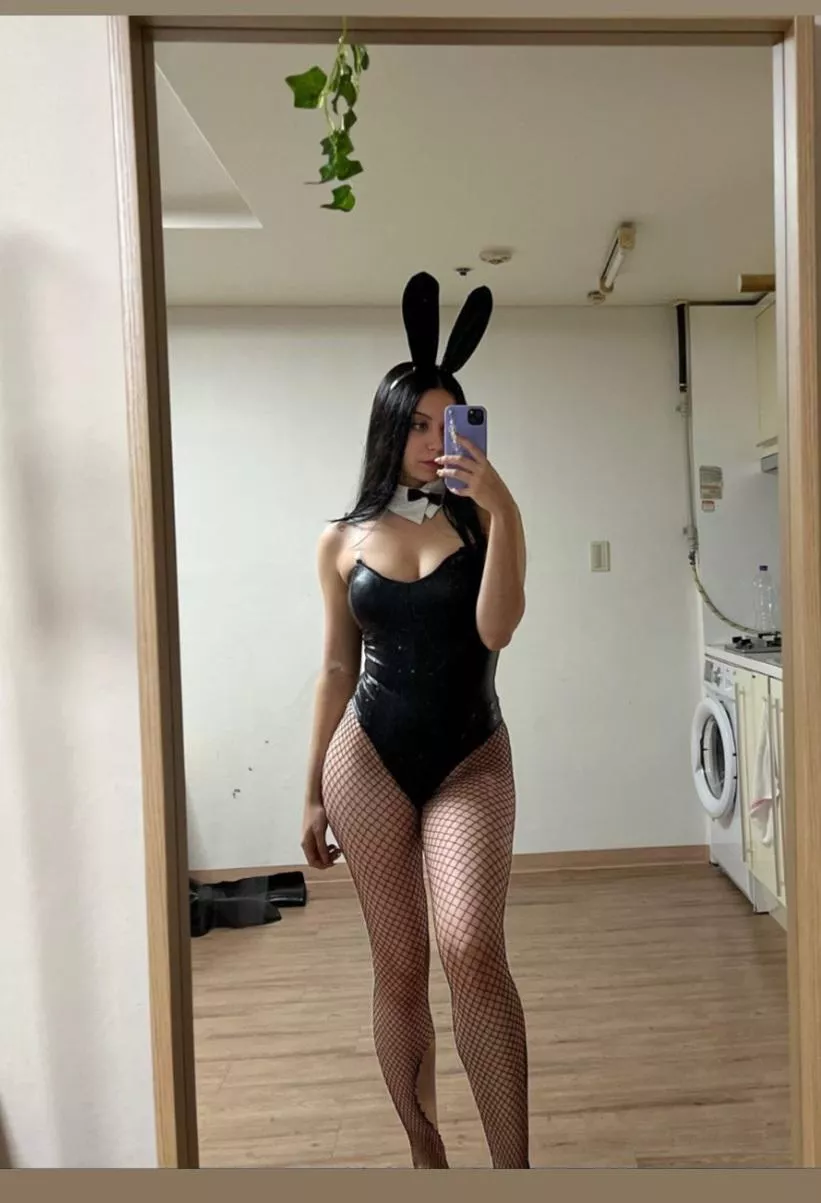 bunny