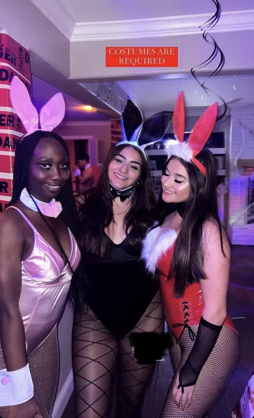 Bunny girls