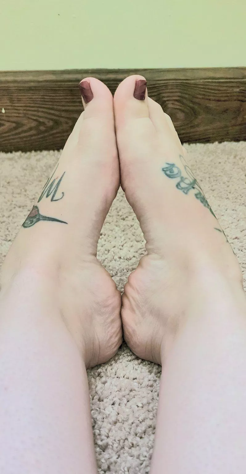 can I wrap them around you?