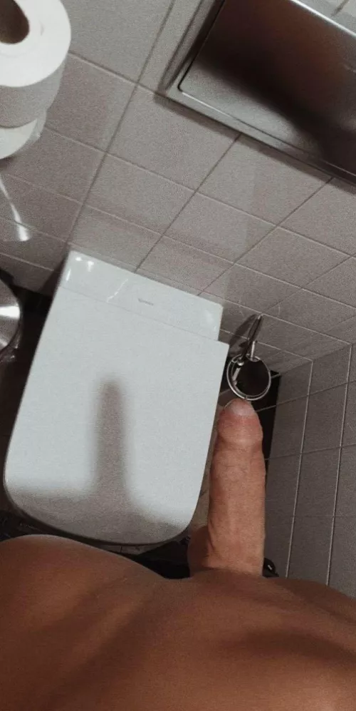 Curious for some toilet fun 😉