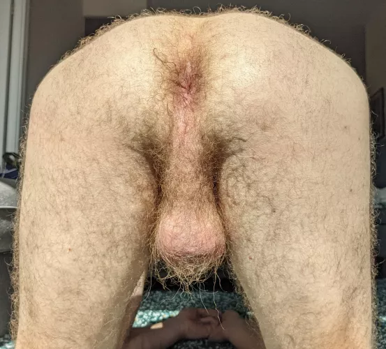 Do my ass and balls qualify as insanely hairy?