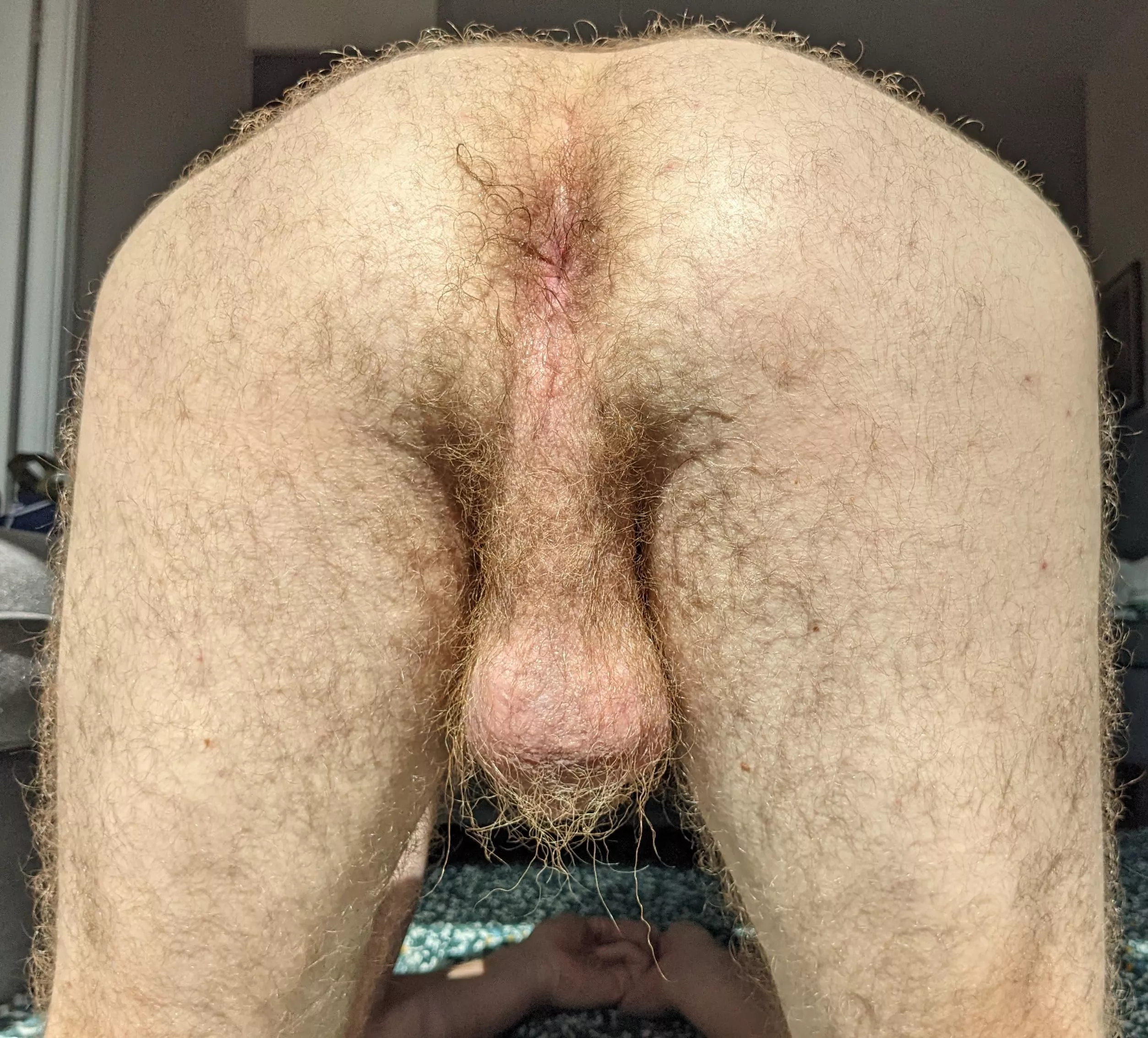 Do my ass and balls qualify as insanely hairy?