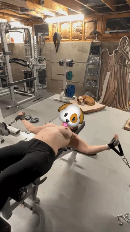 (F)eeling the chest flys today