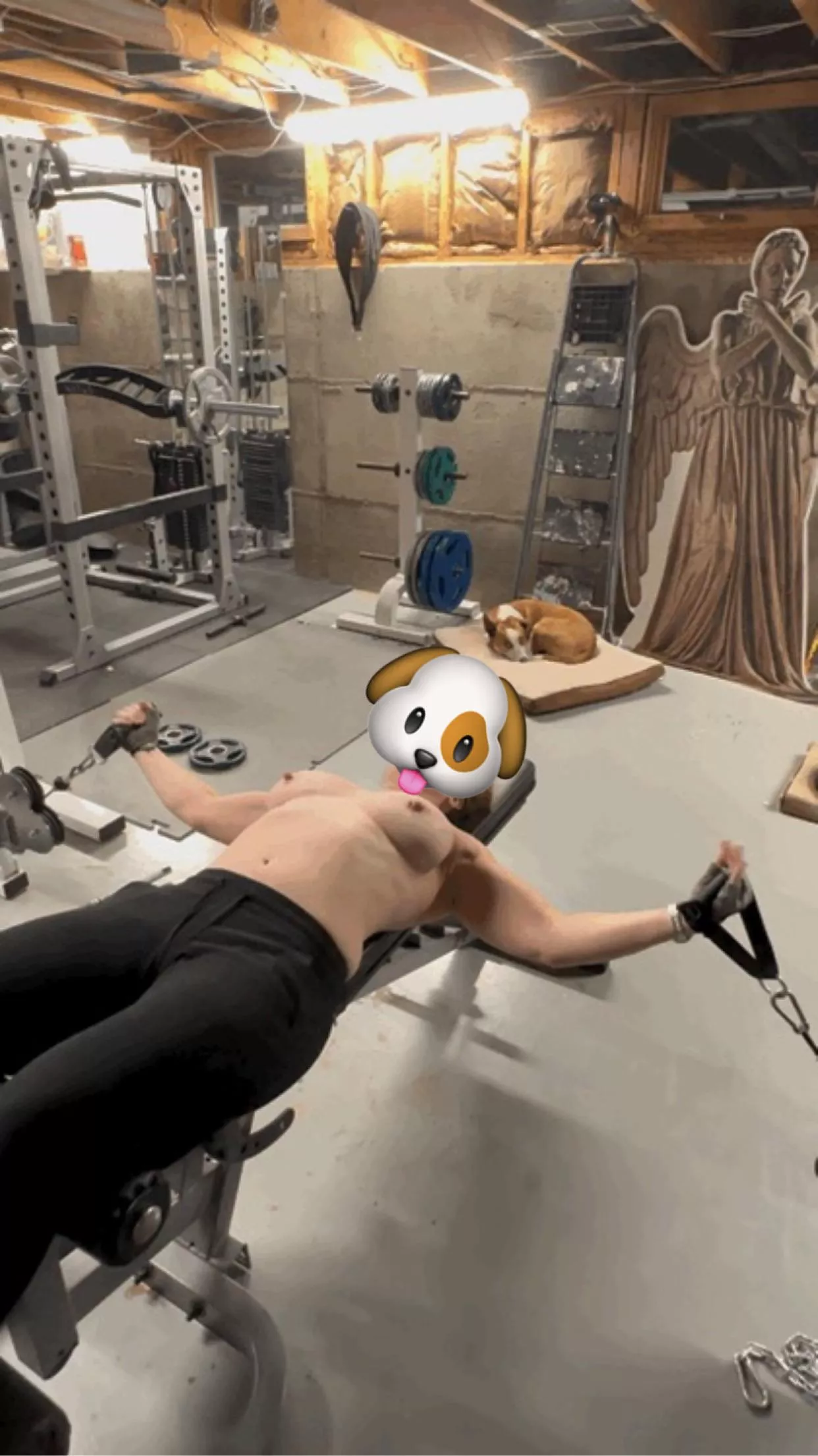 (F)eeling the chest flys today