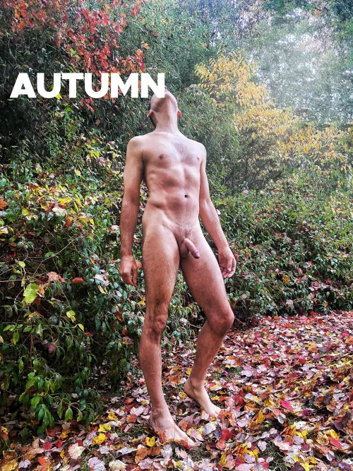 Hello Autu(m)n … What’s Up 🍂