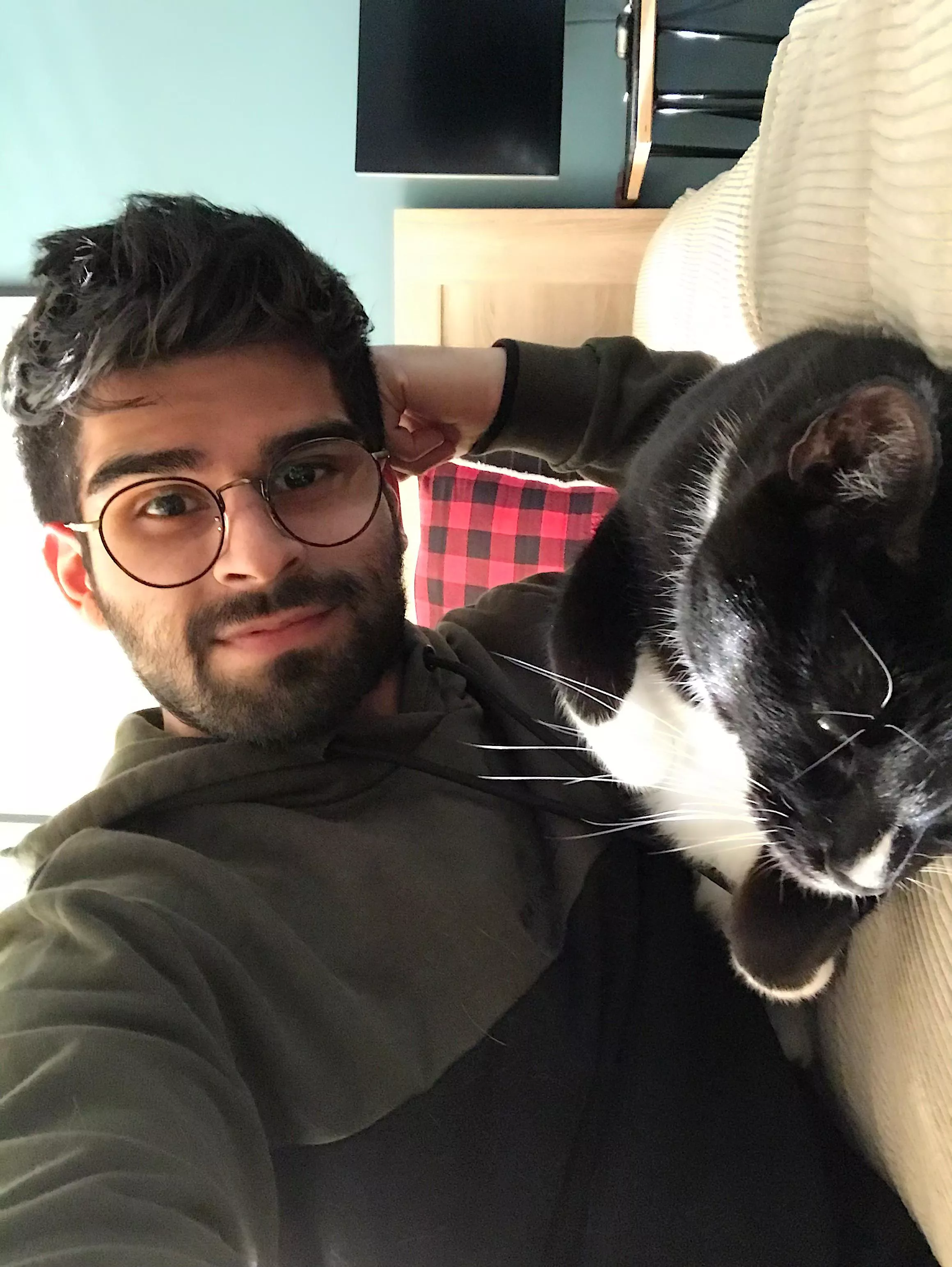 Hoodie ✓, glasses ✓, cat ✓