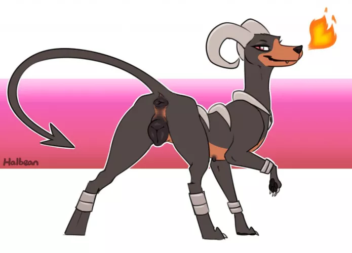 Houndoom [F] (Halbean)