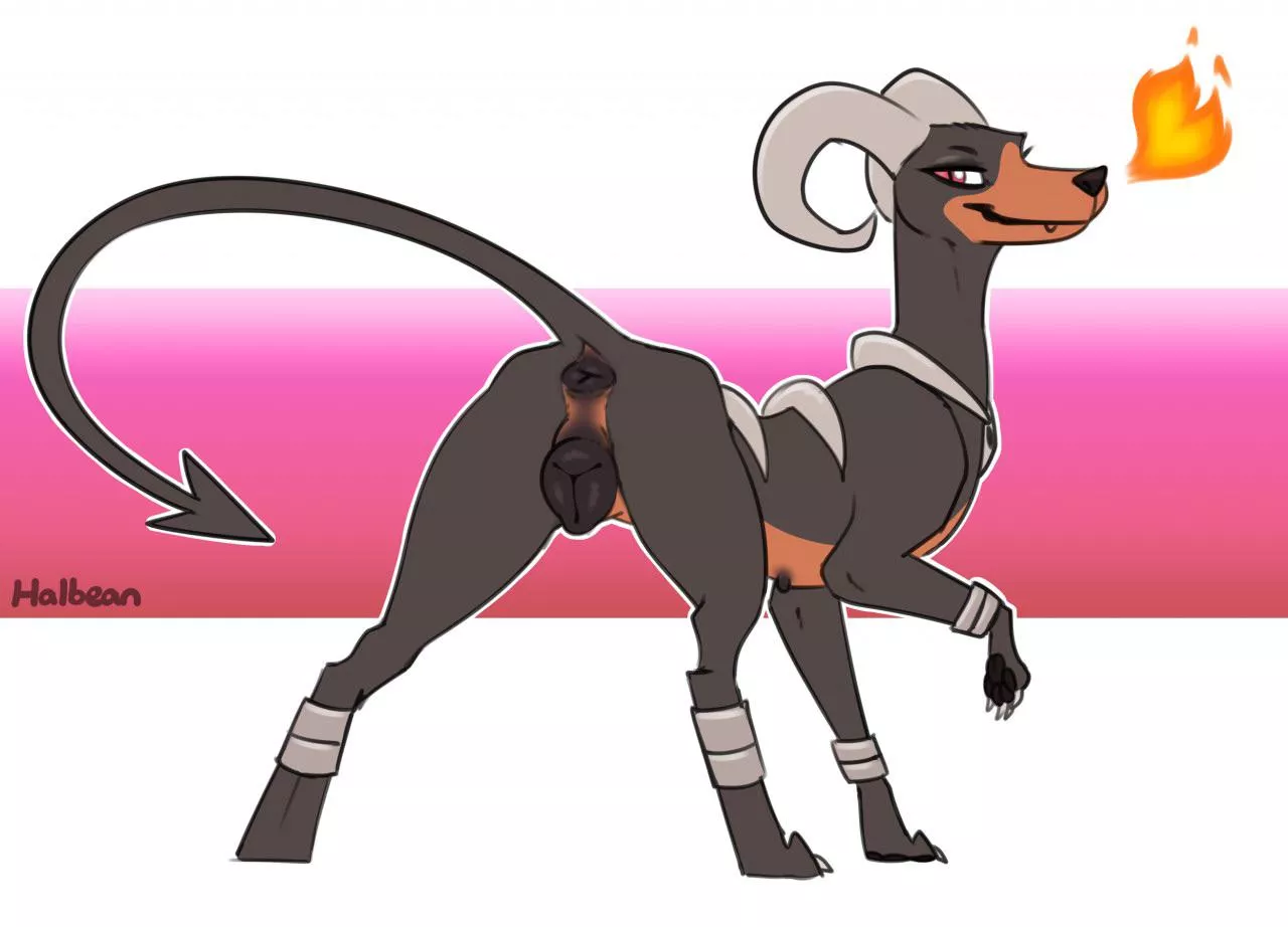 Houndoom [F] (Halbean)