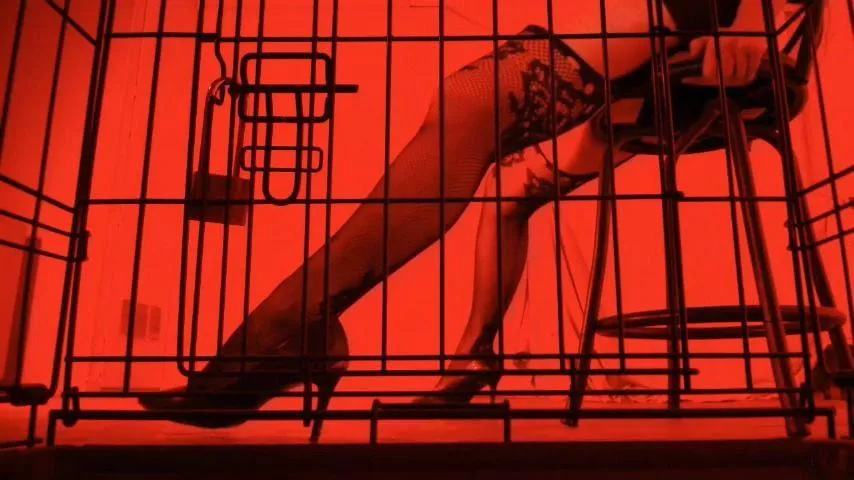 How’s the view from inside your cage, sub? [domme]