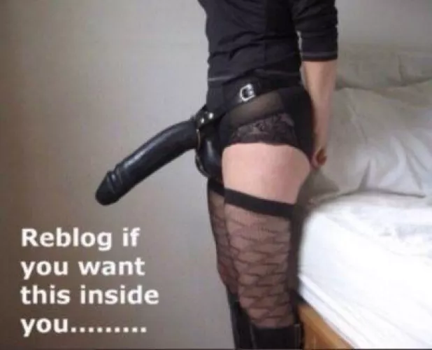 I'm ready to fuck you