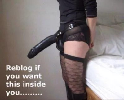 I'm ready to fuck you