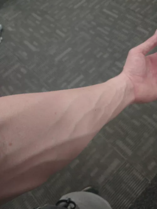 Just finished a really intense reading session