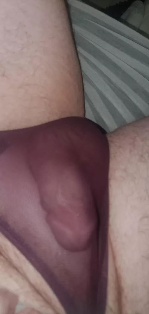 Just my Chosen Pair This Evening