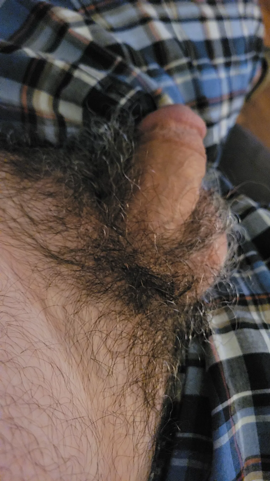 married salt & pepper bush. [42]