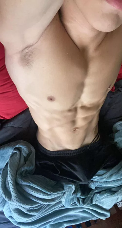morning wood (18)
