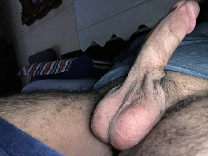 My heavy balls needs to be played with. Any volunteers?