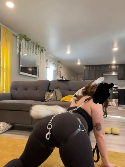 My new obsession is PUPPY PLAYYY! I was reading some erotica online and the fetish just really spoke to me. I went from 0-100. That night I bought leashes, and collars and tails. Everything I would need. I can’t help but want to be trained a fucked int