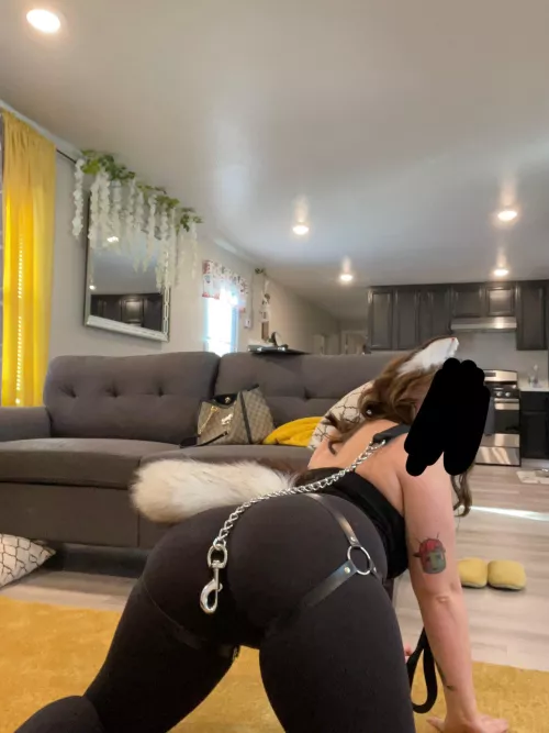 My new obsession is PUPPY PLAYYY! I was reading some erotica online and the fetish just really spoke to me. I went from 0-100. That night I bought leashes, and collars and tails. Everything I would need. I can’t help but want to be trained a fucked int