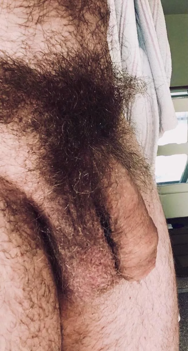 My pubes are so wild and long.