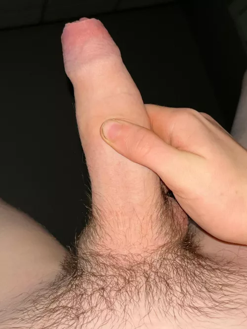 Short pubes and a fat cock