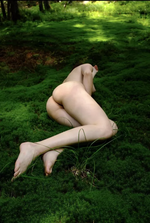 Somewhere in the wood