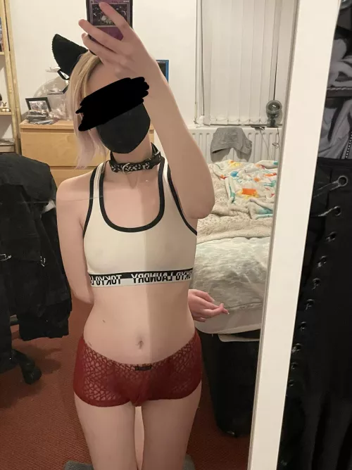 Thankyou for the new collar daddy 😊