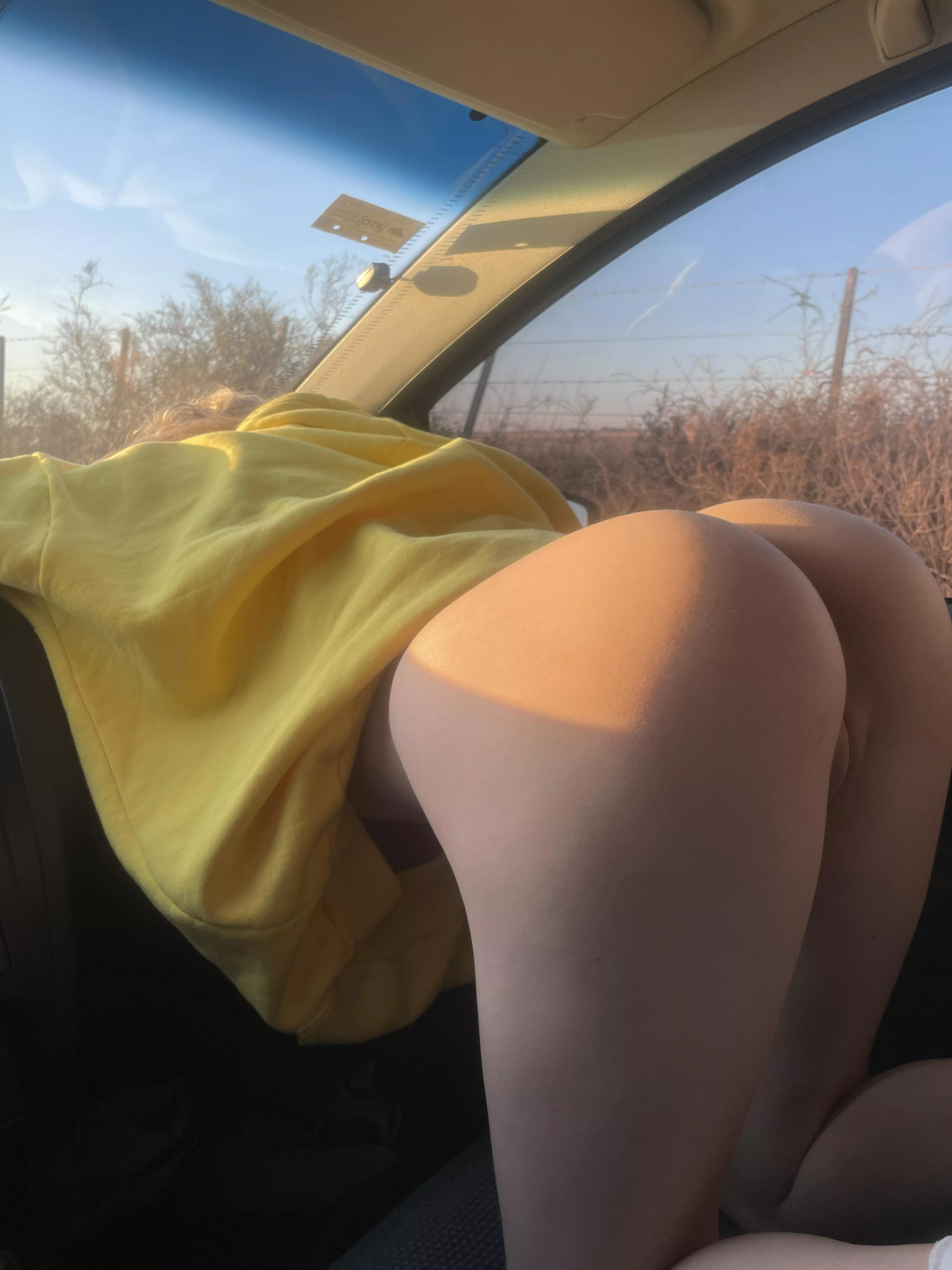 This week I saw trigun, what anime did you see? [F]