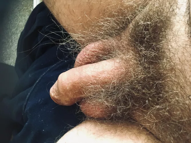 Thought I would show my sexy hot wild pubes. Love them being so long.