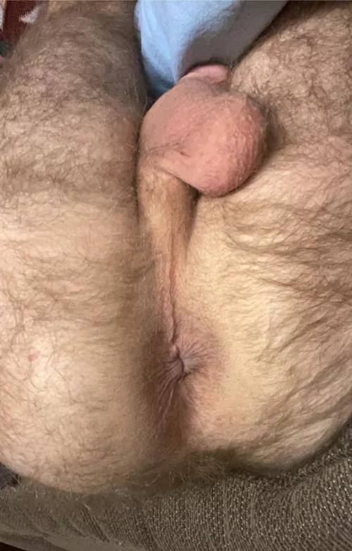 Use me any way you wish, I insist