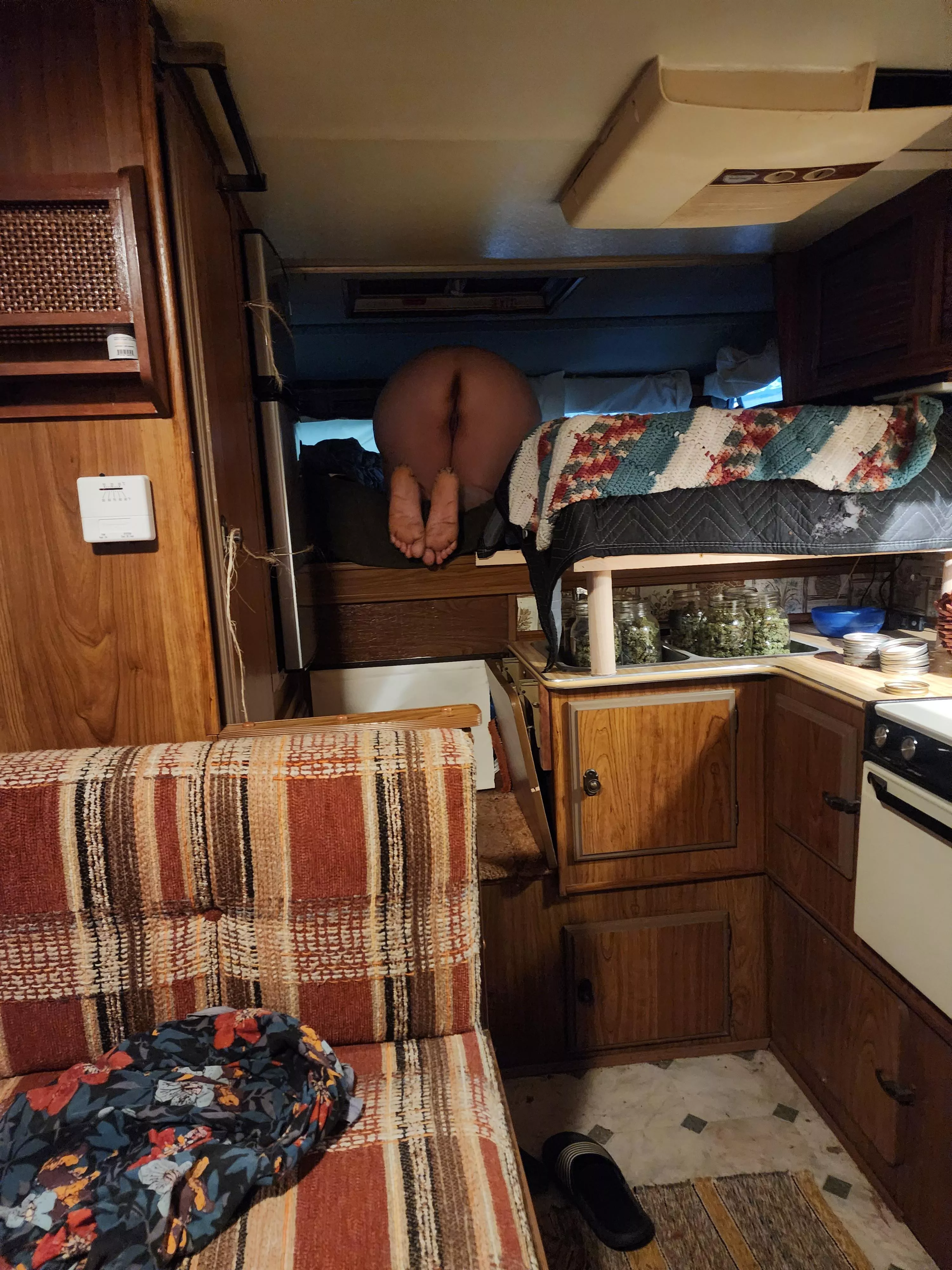 want to trade send sample