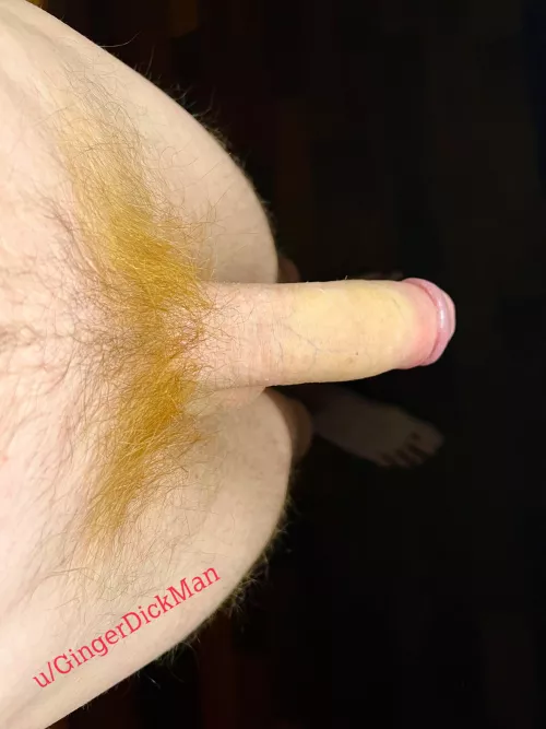 What do you think about my ginger dick? ;)