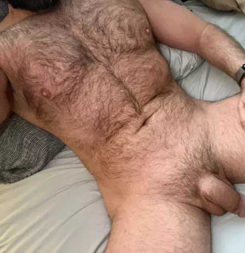 Wife doesn’t blow me anymore. Anyone help this bi bear out? 37