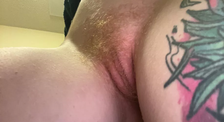 A ginger a day keeps the horny away