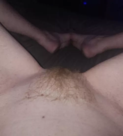 Are you into firebush