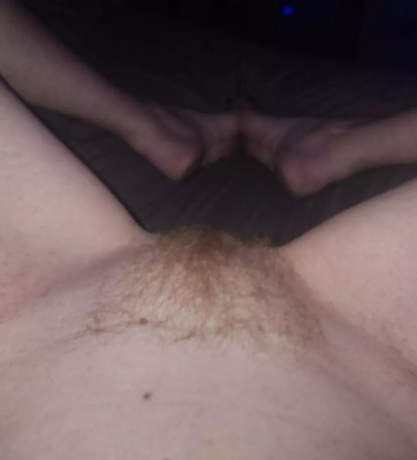 Are you into firebush