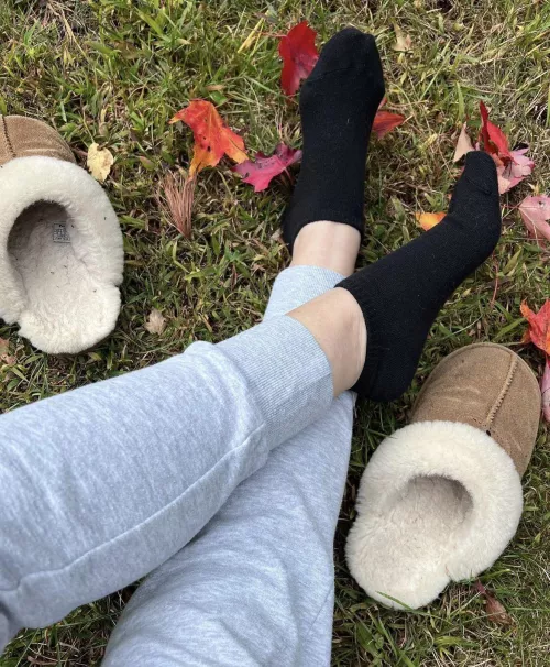 Arrows up if want to sniff them