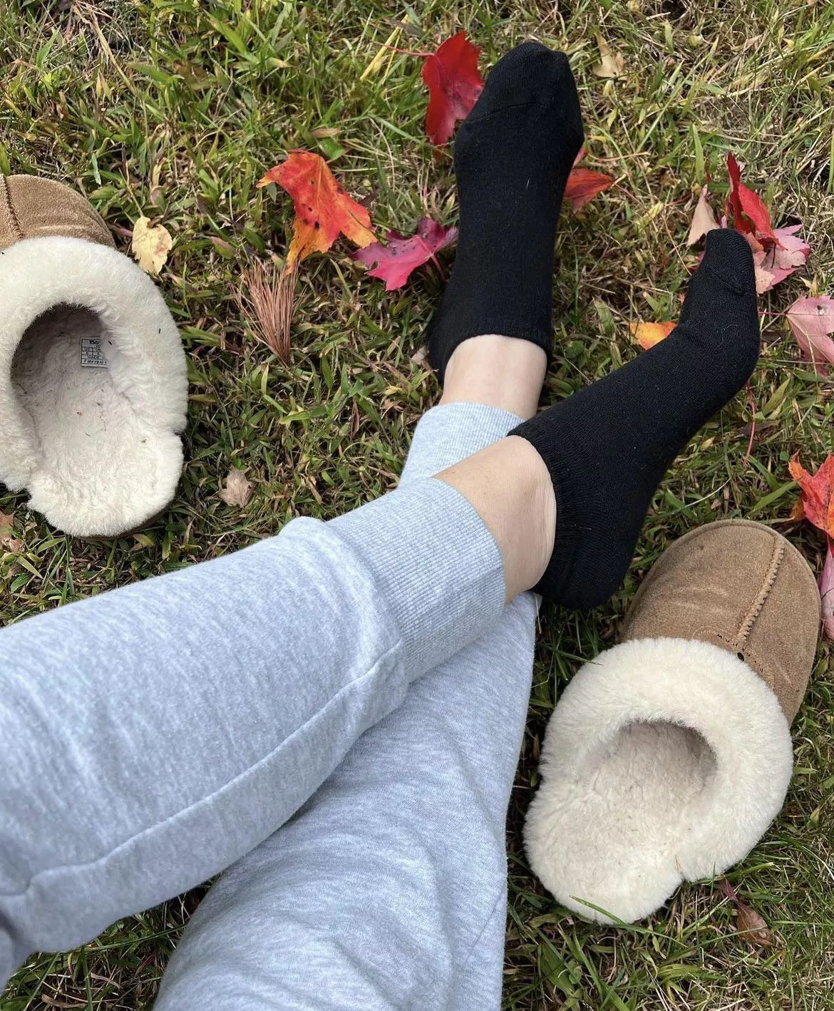 Arrows up if want to sniff them