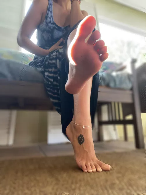 Beg to be under my feet