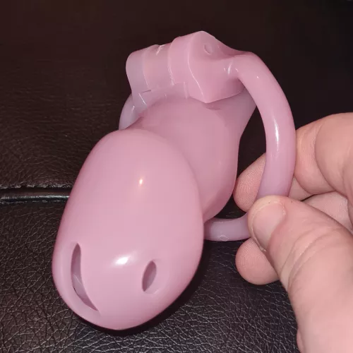 Bought a cage for No-vember. (I'm not even a proper sissy - just playing around 😆)