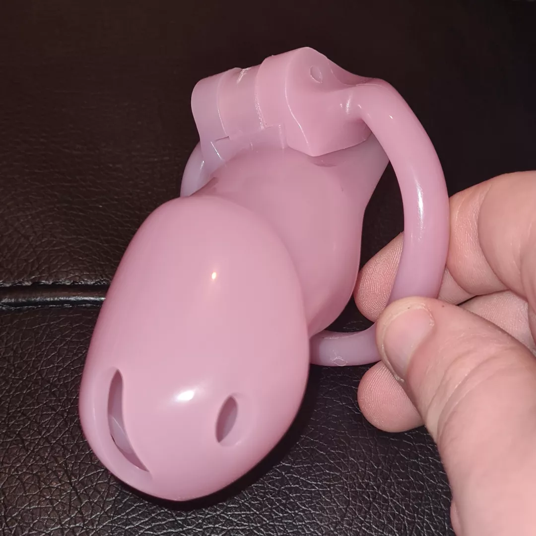 Bought a cage for No-vember. (I'm not even a proper sissy - just playing around 😆)