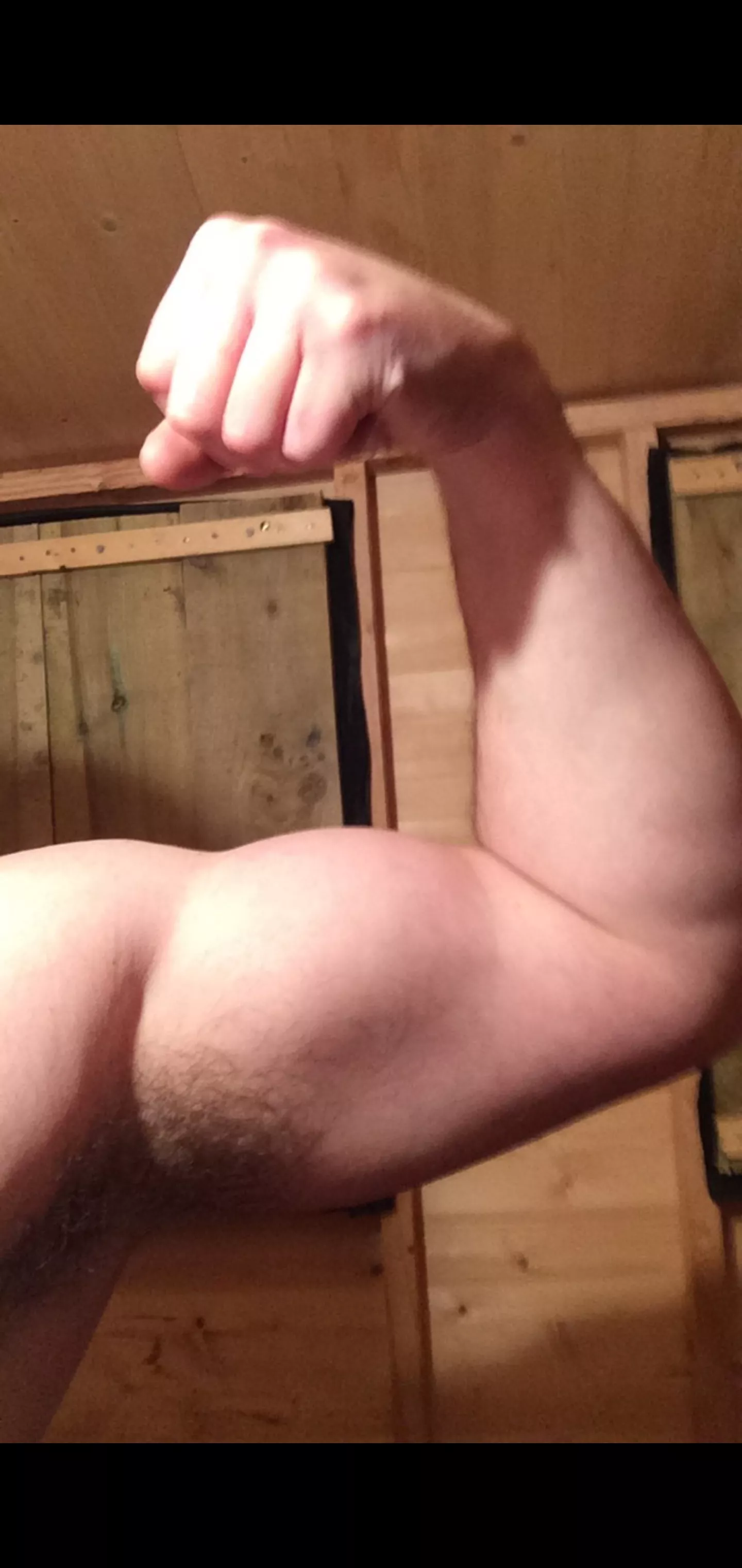 Building forearms in cold UK shed