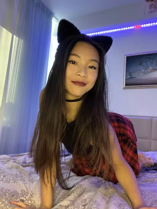 Could I be your horny cat for Halloween?