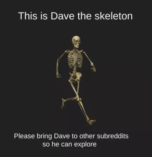 Dave The Skeleton