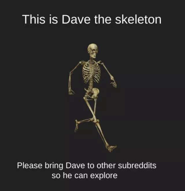 Dave The Skeleton